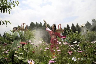 “‘微’觀南部?絢彩端午” “正南昆杯”南部縣首屆微電影節(jié)活動開始啦！