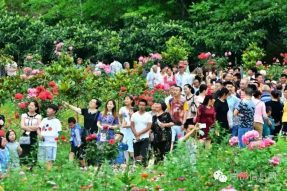 沸騰的小山村——伏虎寺外桃源，令人震撼的美！